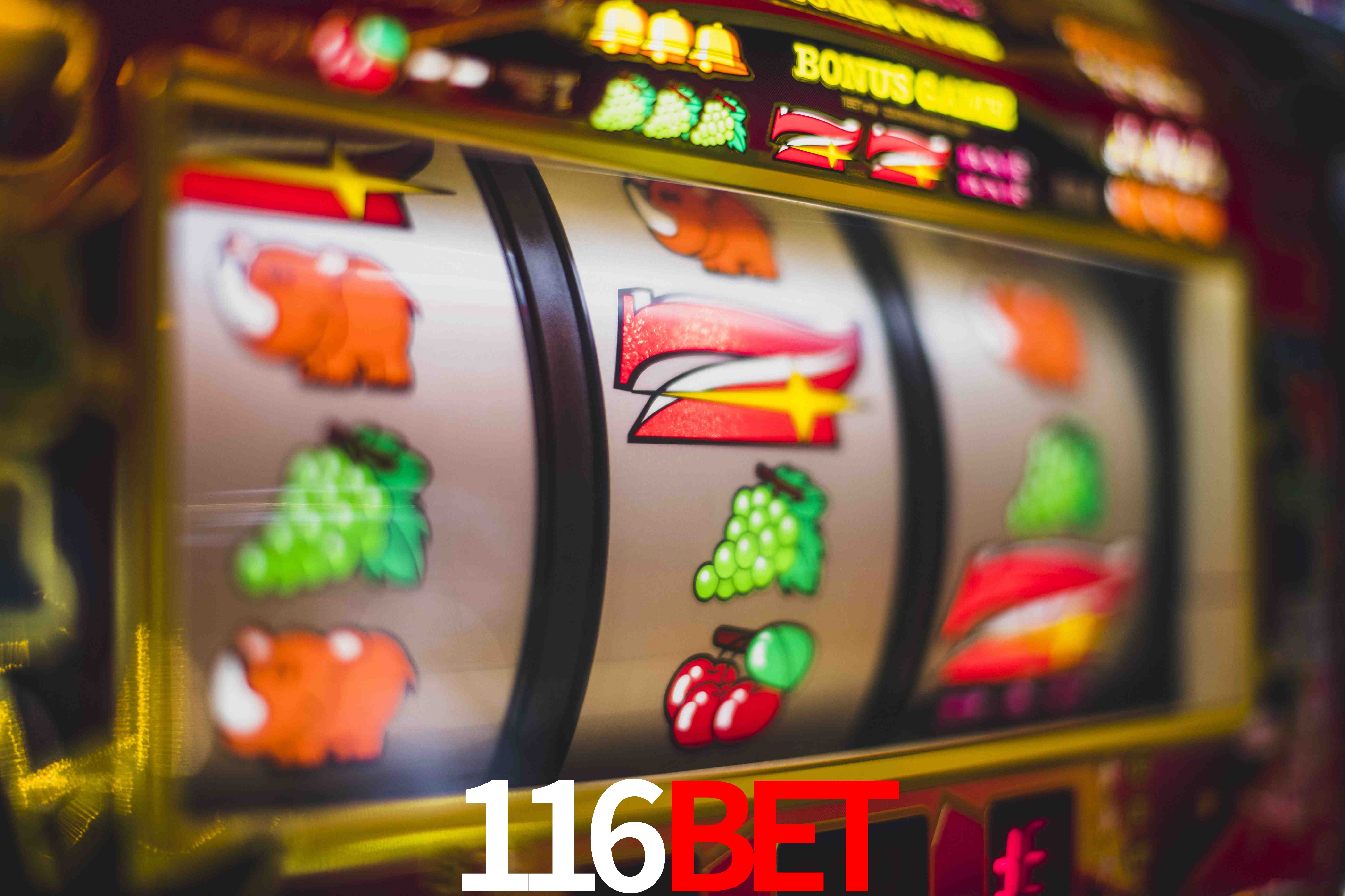Basketball Betting 116BET